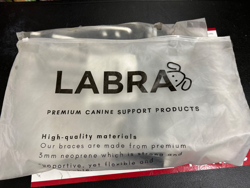 Labra dog canine back - labra,